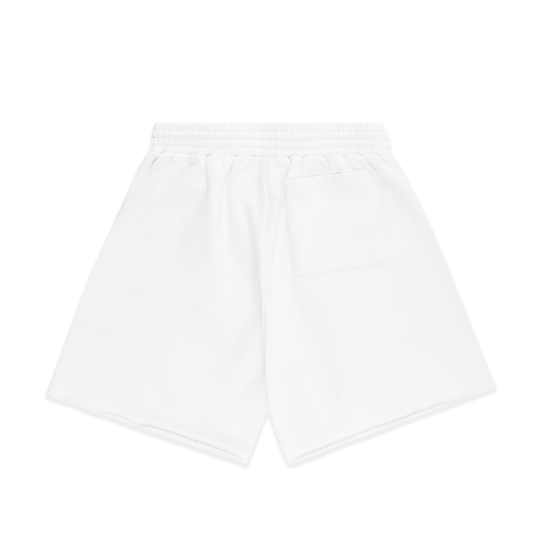 OG WEB V2 SWEATSHORT